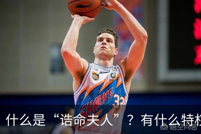 什么是“诰命夫人”？有什么特权和好处