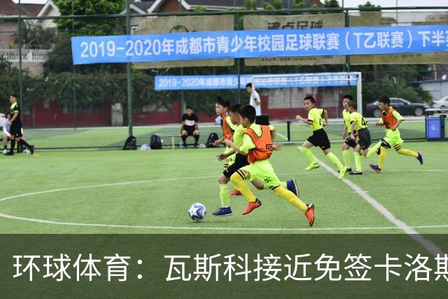 环球体育：瓦斯科接近免签卡洛斯-维尼修斯